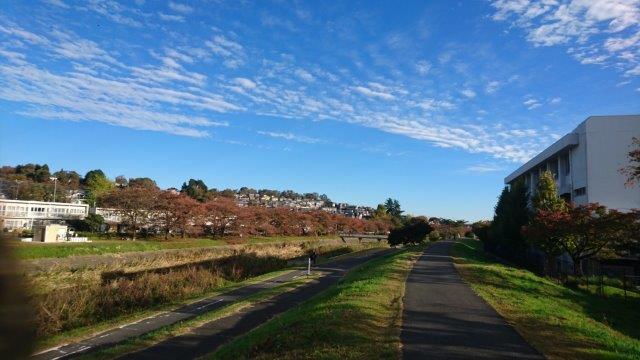 周辺の風景