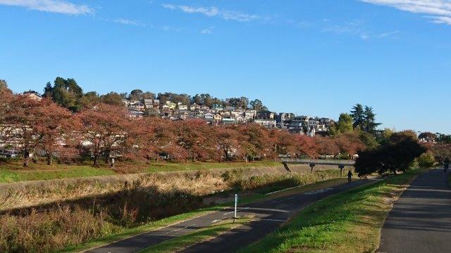 周辺の風景