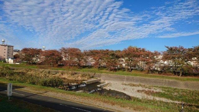 周辺の風景